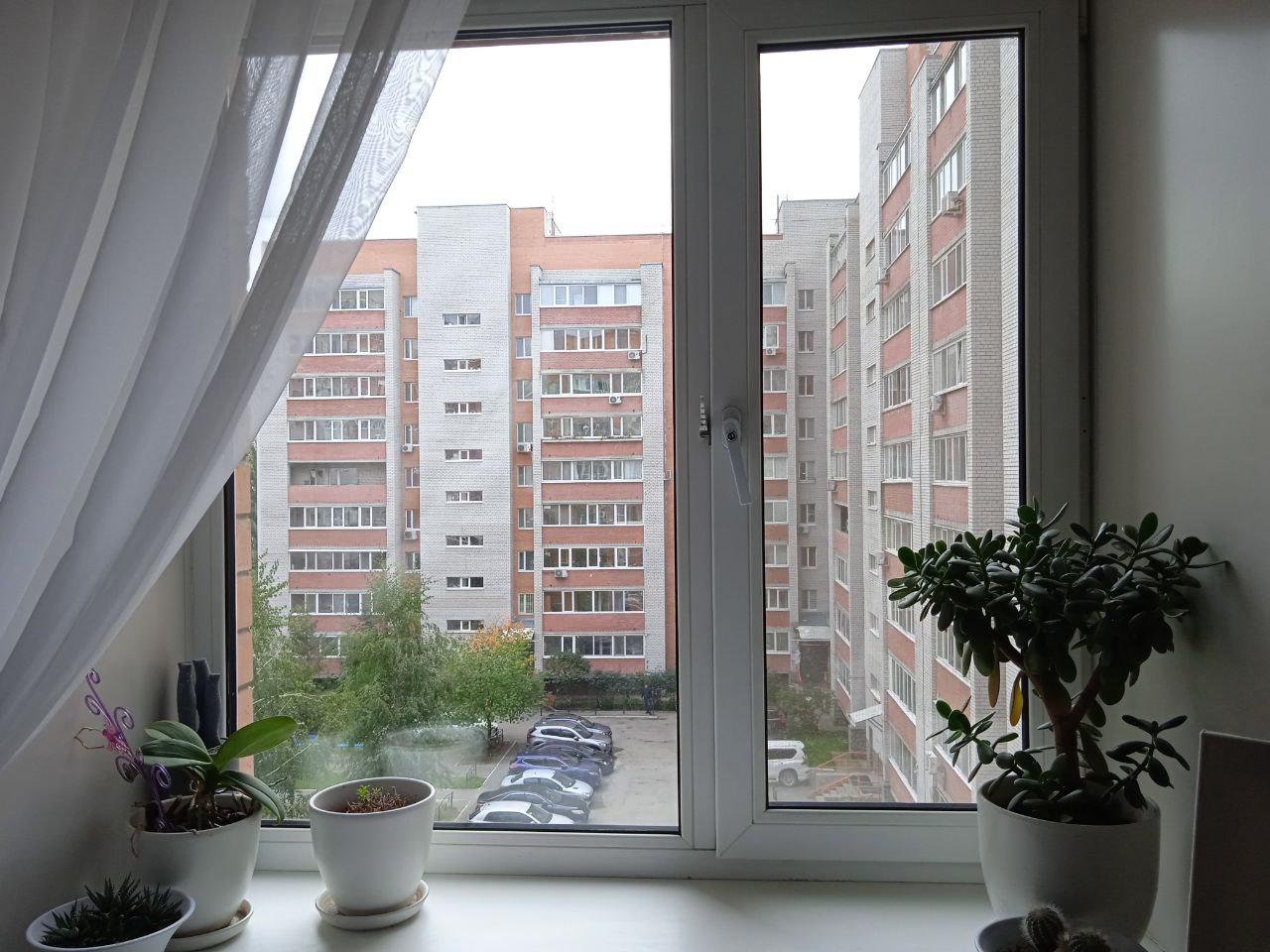 https://prokopevsk.delaem-okna.ru/storage/app/uploads/public/63f/331/482/63f331482975f325093091.jpg