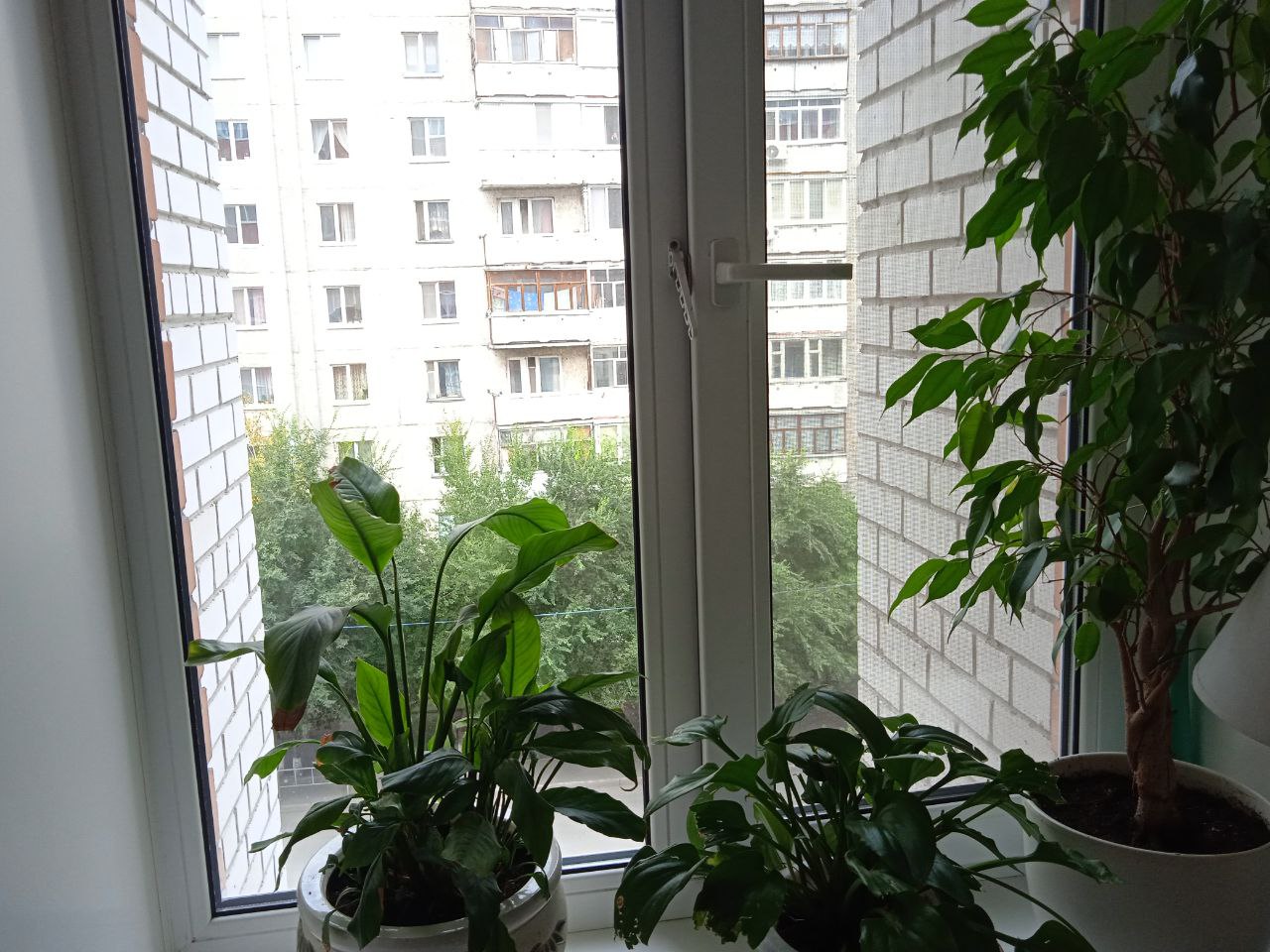 https://prokopevsk.delaem-okna.ru/storage/app/uploads/public/63f/332/8c0/63f3328c0d6f7867060515.jpg